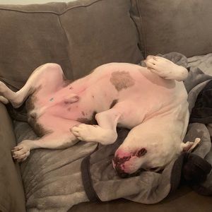 Meet your Posher, Bill